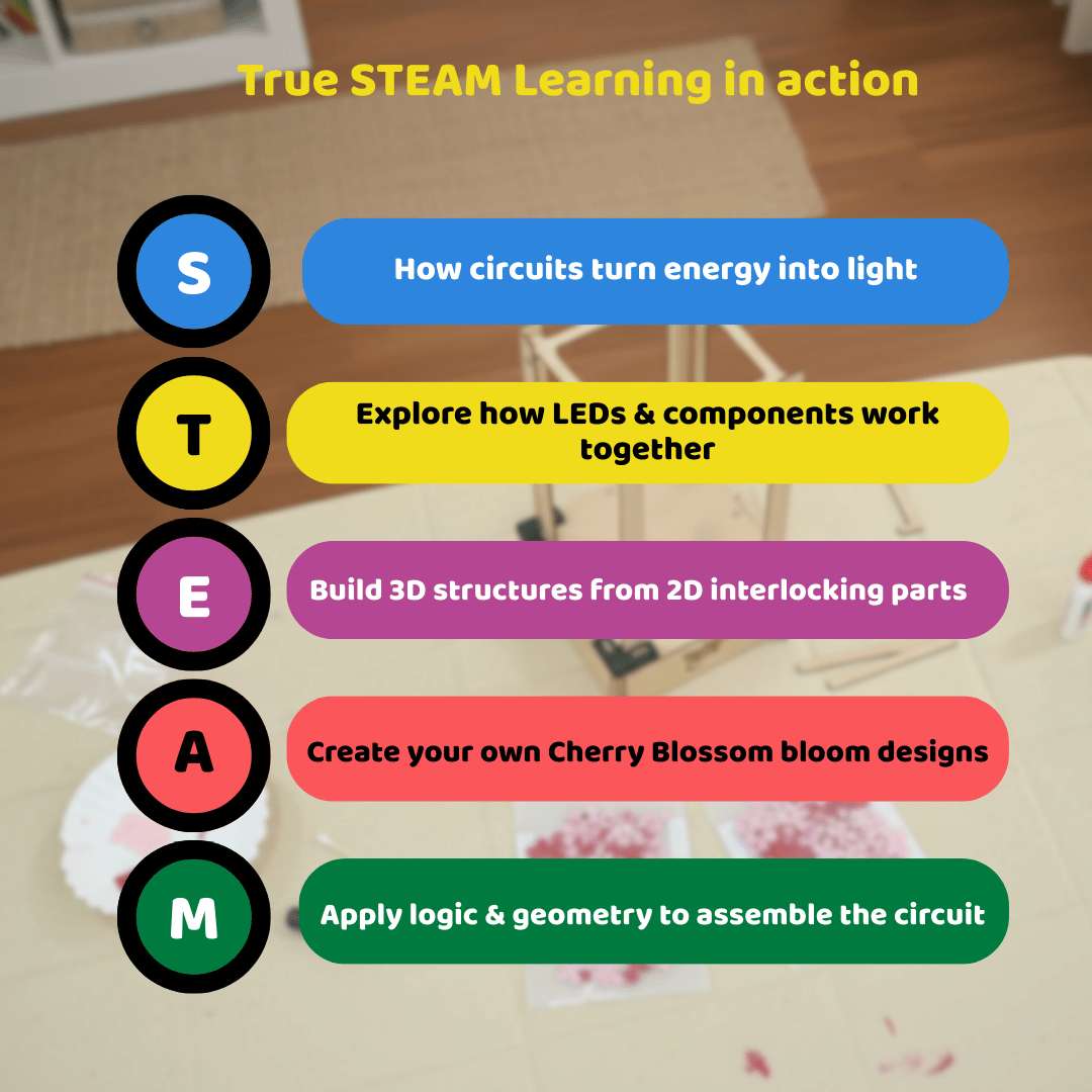 Cherry Blossom Lamp | DIY STEM Kit | 8-14 yrs | Art meets Tech