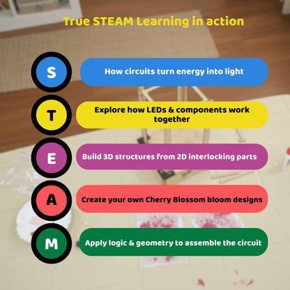 Cherry Blossom Lamp | DIY STEM Kit | 8-14 yrs | Art meets Tech