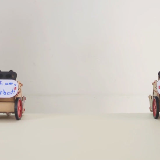 Emotibot video